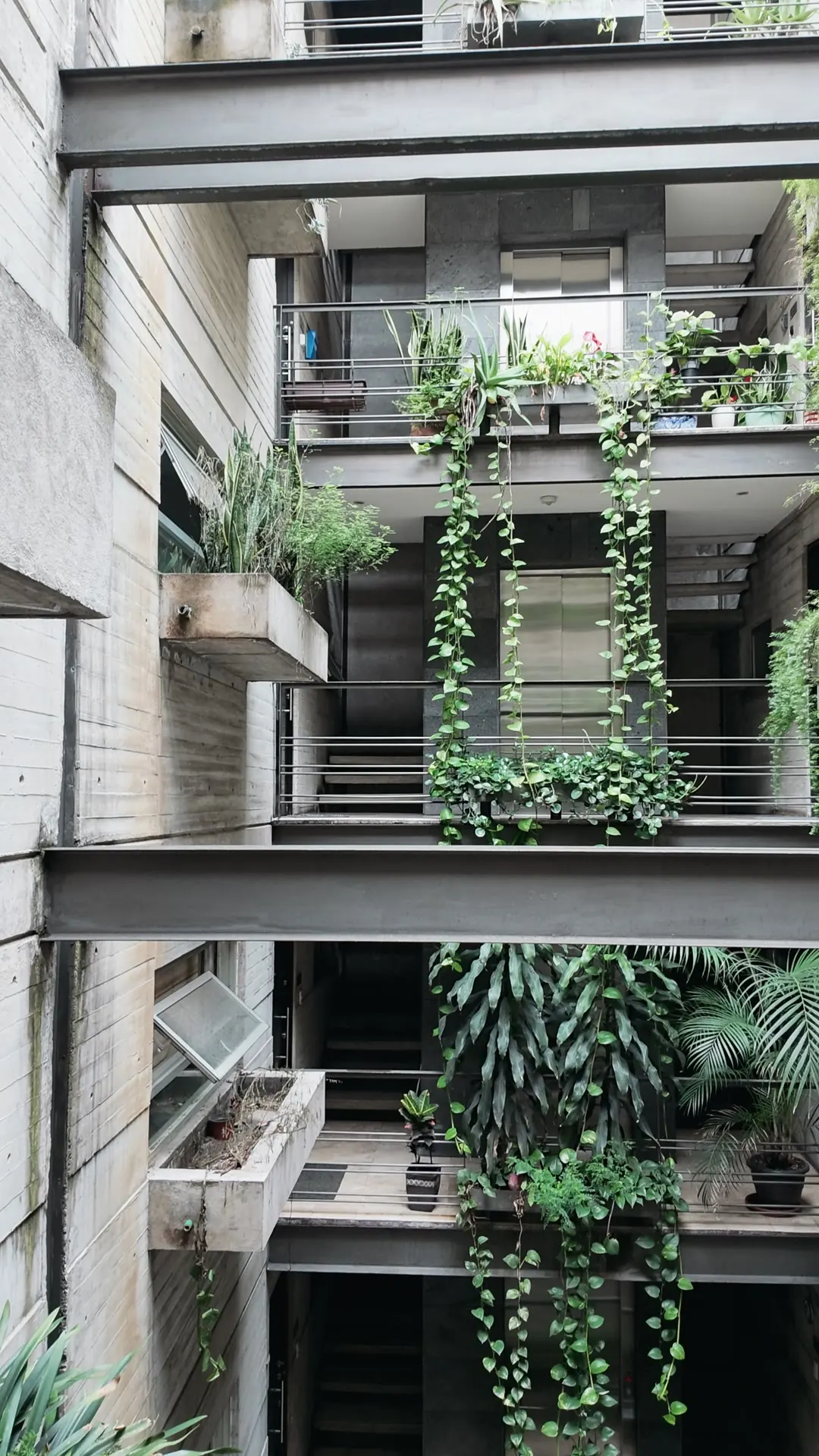 Patio interior del edificio con jardín vertical y plantas colgantes
